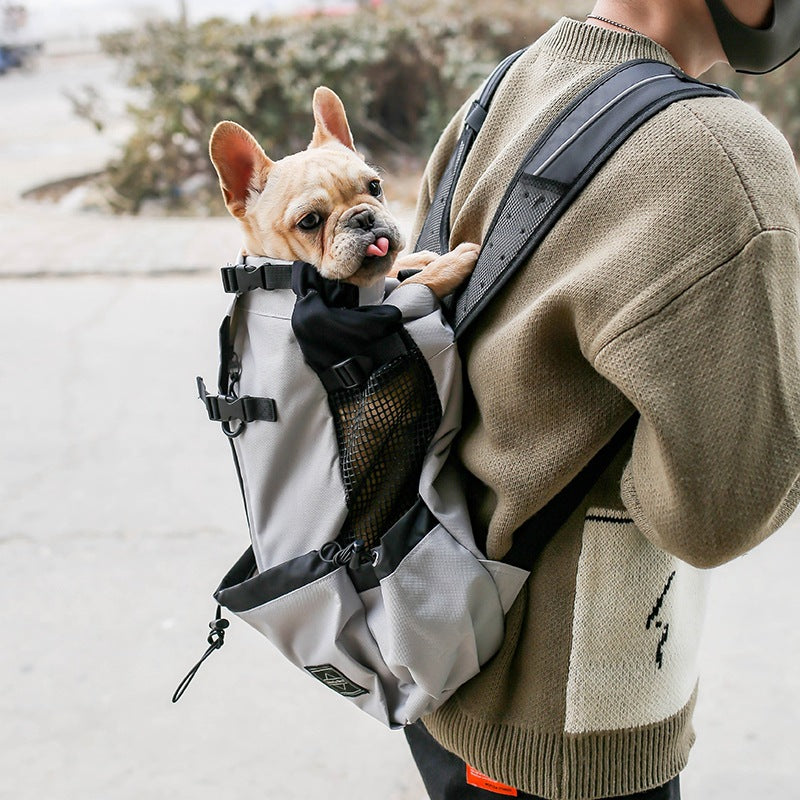 Person carrying a small dog in a backpack on a street.
