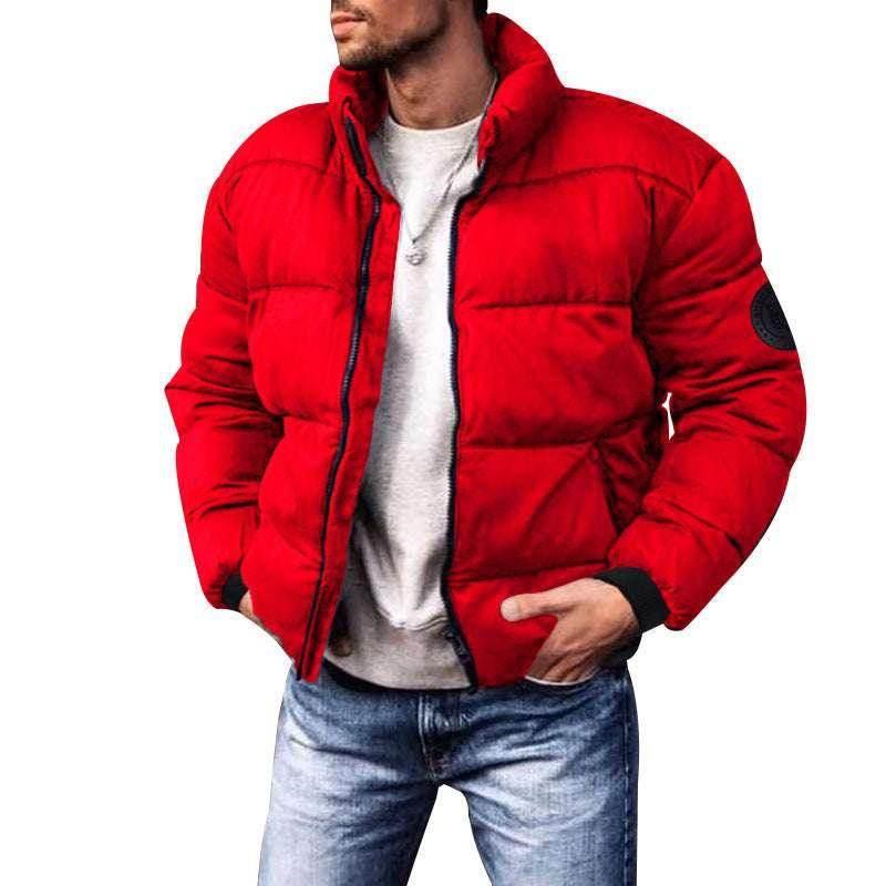 Men's Stand-Up Collar Down Jacket – Stylish, Warm, Cotton-Padded - ZA-Zola