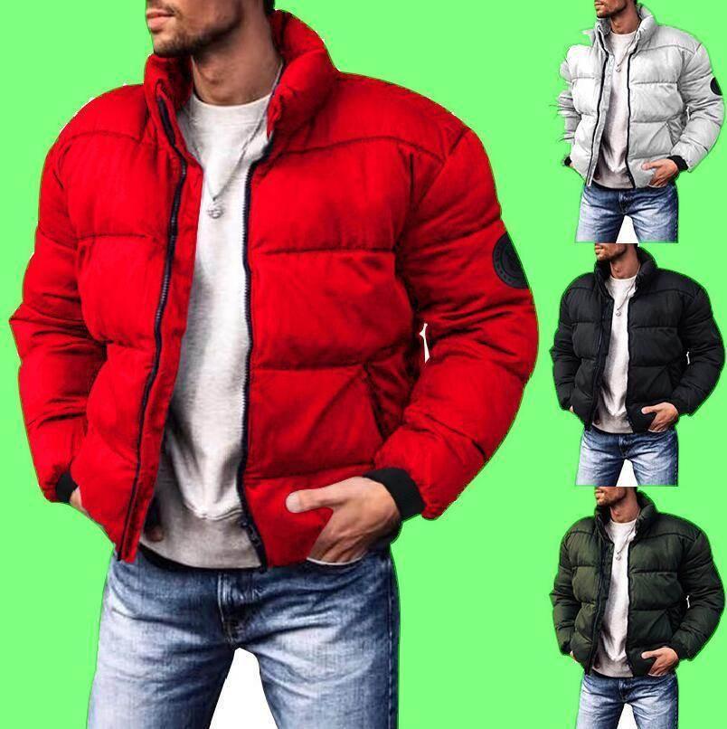 Men's Stand-Up Collar Down Jacket – Stylish, Warm, Cotton-Padded - ZA-Zola