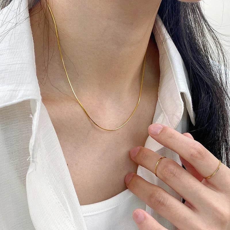 Titanium Steel Snake Bone Choker Necklace – Stylish & Fine - ZA-Zola