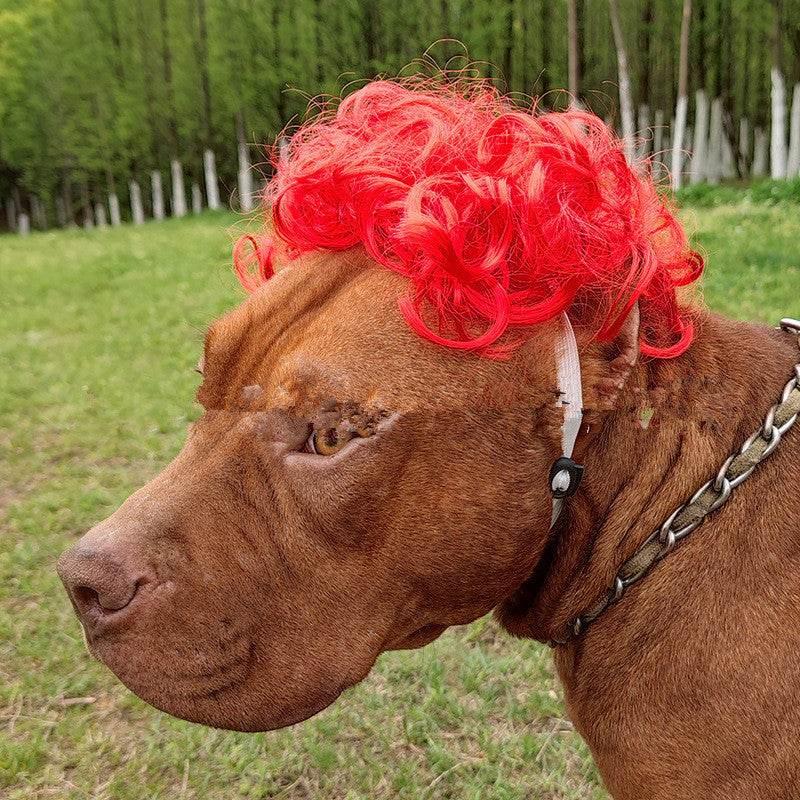 ZA-Zola Funny Pet Wig Afro & Pigtail Styles - ZA-Zola