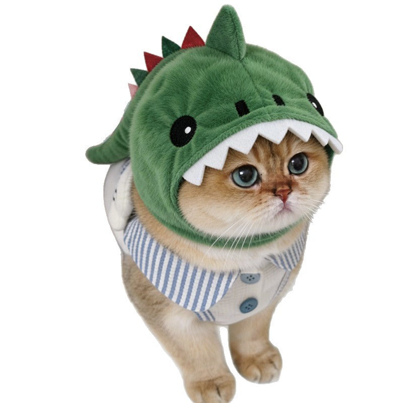 A small cat wearing a plush dinosaur costume with a green hood, white teeth details, and a blue-and-white striped shirt, photographed on a plain white background.