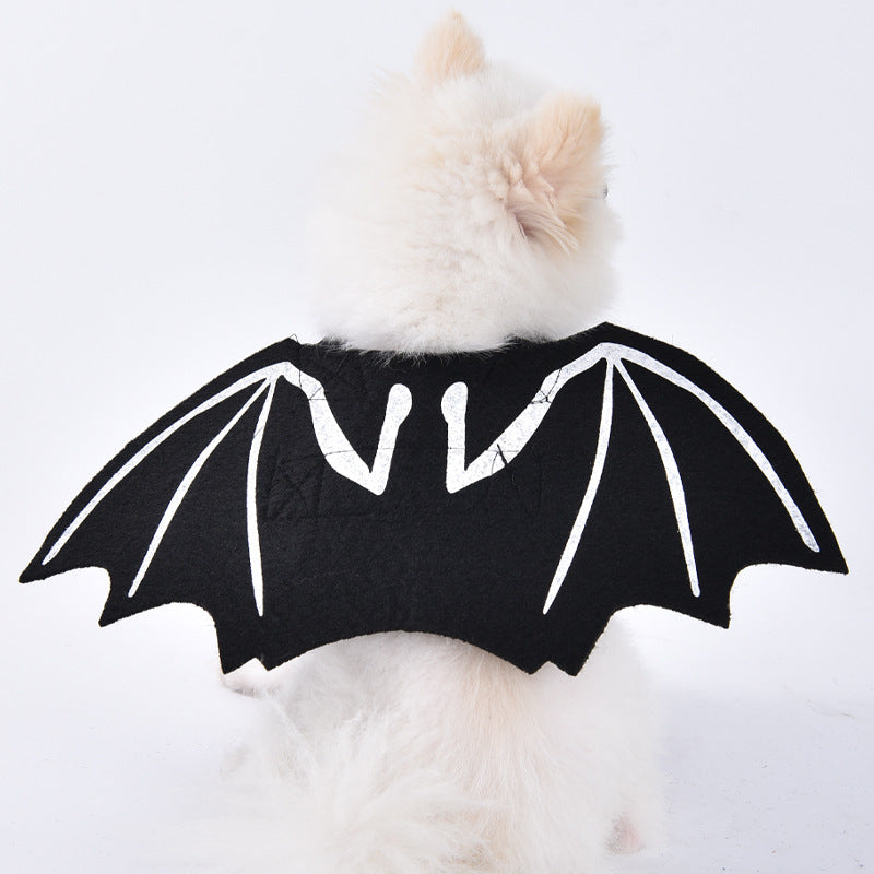 Small dog wearing a black bat wing costume on a white background