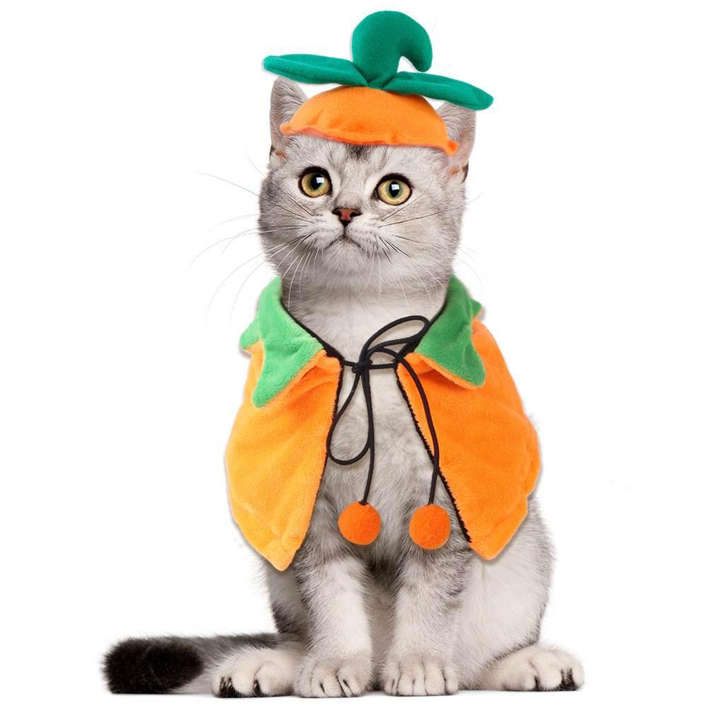 ZA-Zola Halloween Pumpkin Pet Cloak & Cape - ZA-Zola