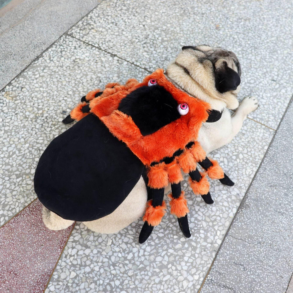 ZA-Zola Halloween Spider Pet Costume for Dogs & Cats - ZA-Zola