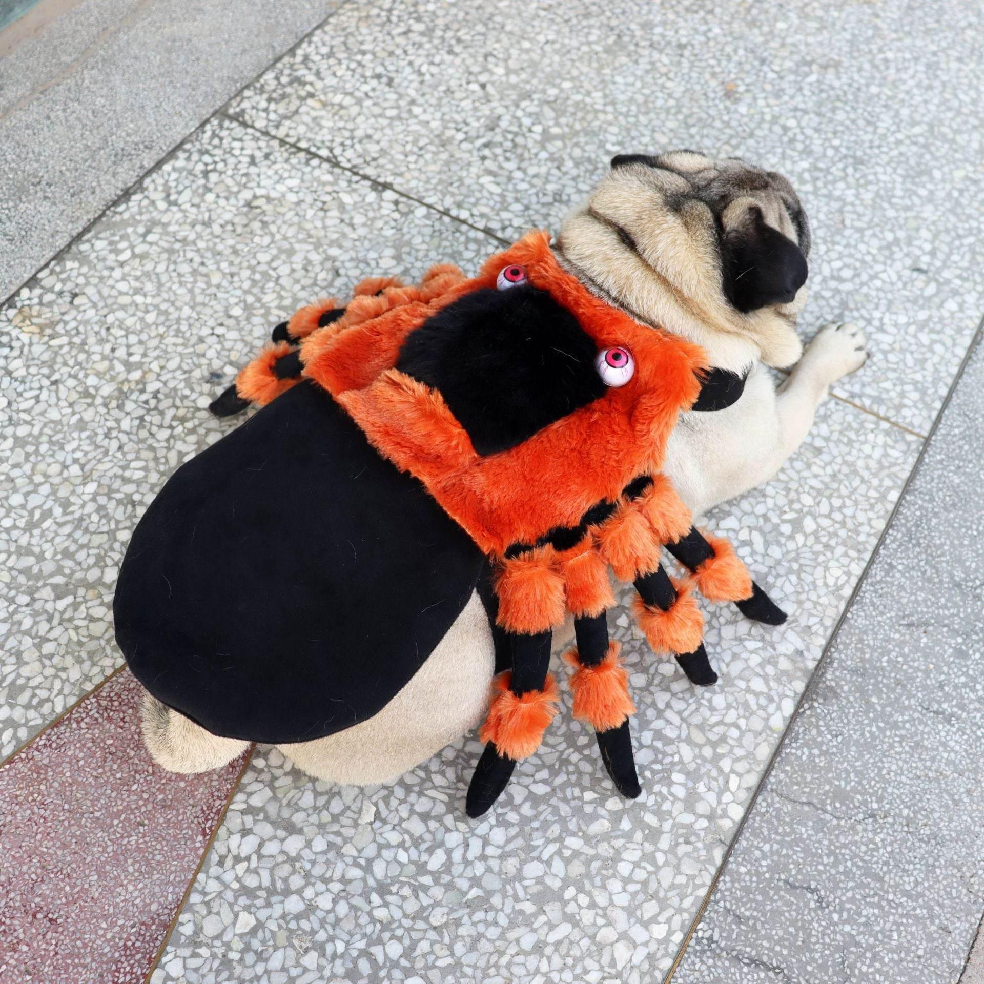 ZA-Zola Halloween Spider Pet Costume for Dogs & Cats - ZA-Zola