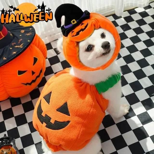 ZA-Zola Halloween Pumpkin Vest for Dogs & Cats - ZA-Zola
