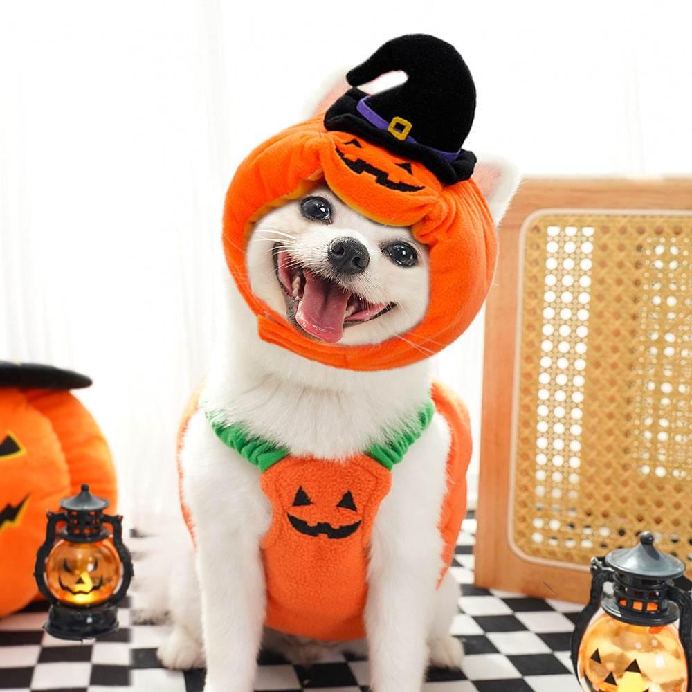 ZA-Zola Halloween Pumpkin Vest for Dogs & Cats - ZA-Zola