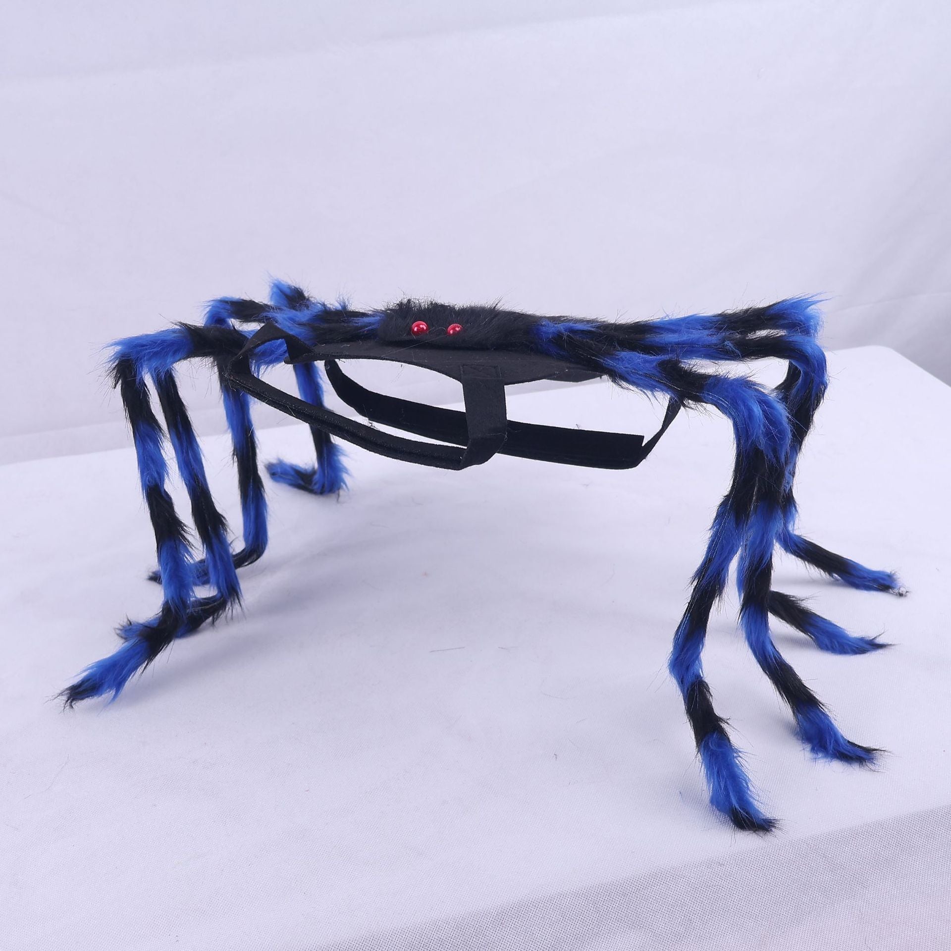 Glasses with blue and black spider-like arms on a white background
