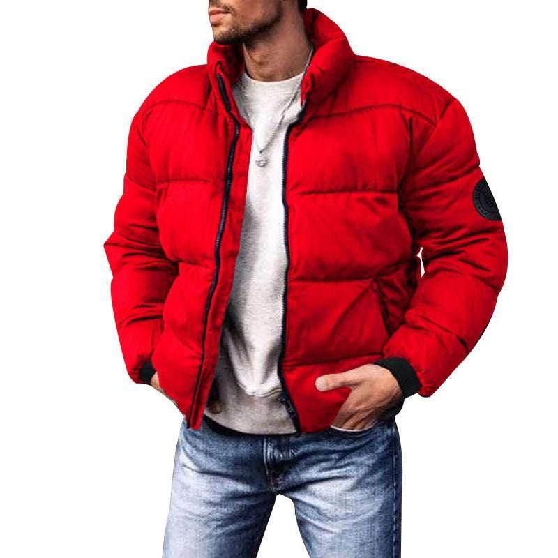 Men's Stand-Up Collar Down Jacket – Stylish, Warm, Cotton-Padded - ZA-Zola