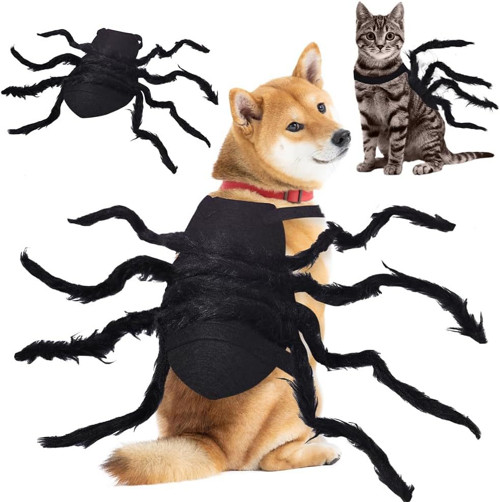 Dog and cat wearing spider costumes on a plain background