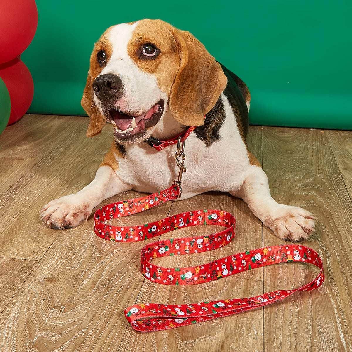 Christmas Pet Collar & Leash Set – Festive Walks - ZA-Zola