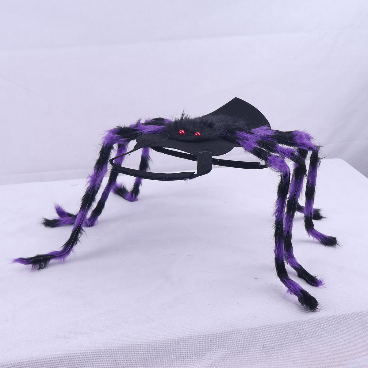 Halloween spider decoration on a white background