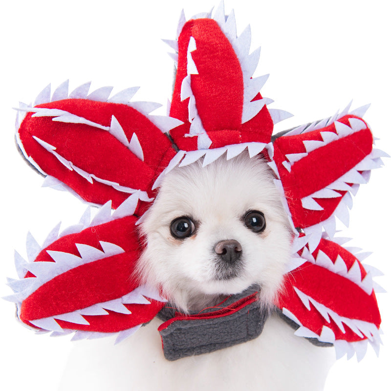 Small white dog wearing a red and white shark costume on a white background
