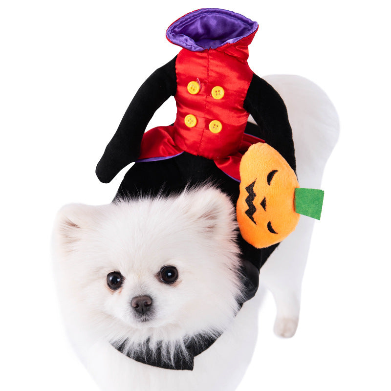 White dog wearing a Halloween-themed costume with a red vest, black pants, and a pumpkin accessory.