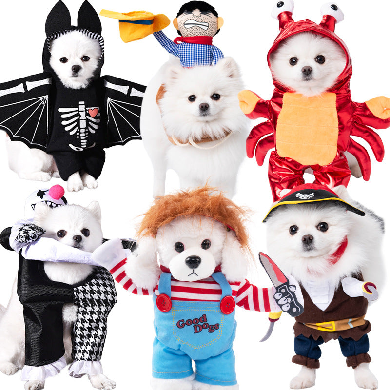 Group of dogs wearing various costumes on a white background