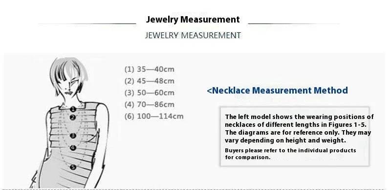 Black Zircon Long Round Earrings – Elegant Shine - ZA-Zola
