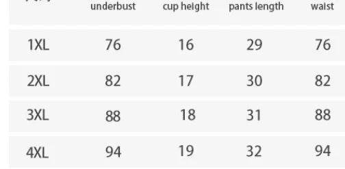 Plus Size Lace See-Through Bra T-back Two-Piece Suit - ZA-Zola