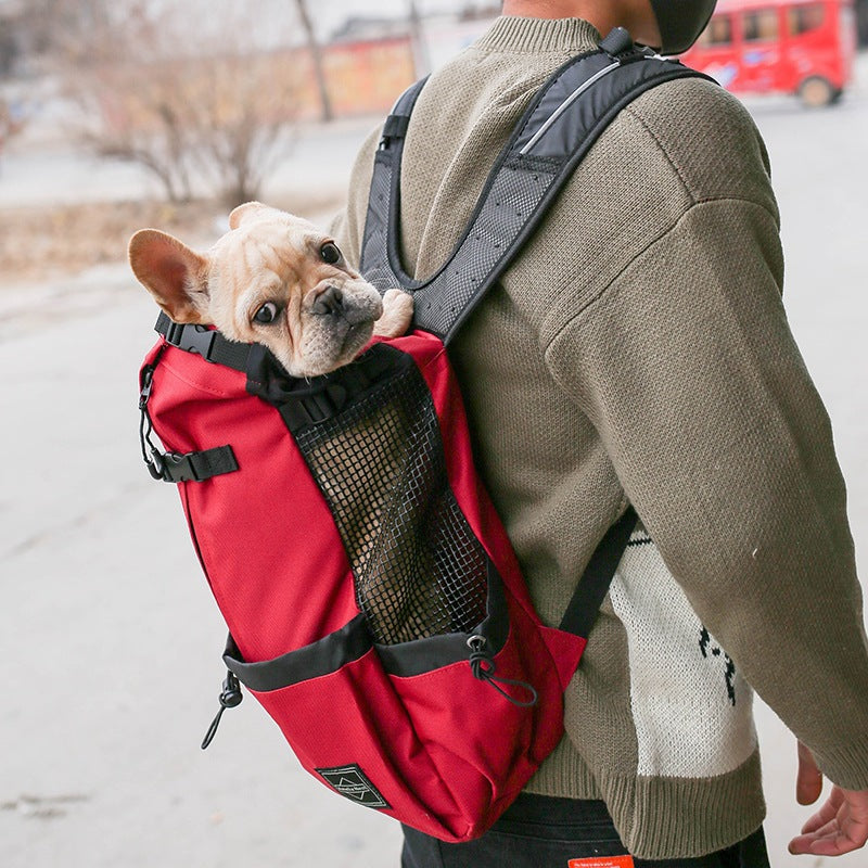 Person wearing a red backpack with a small dog peeking out, walking outdoors.