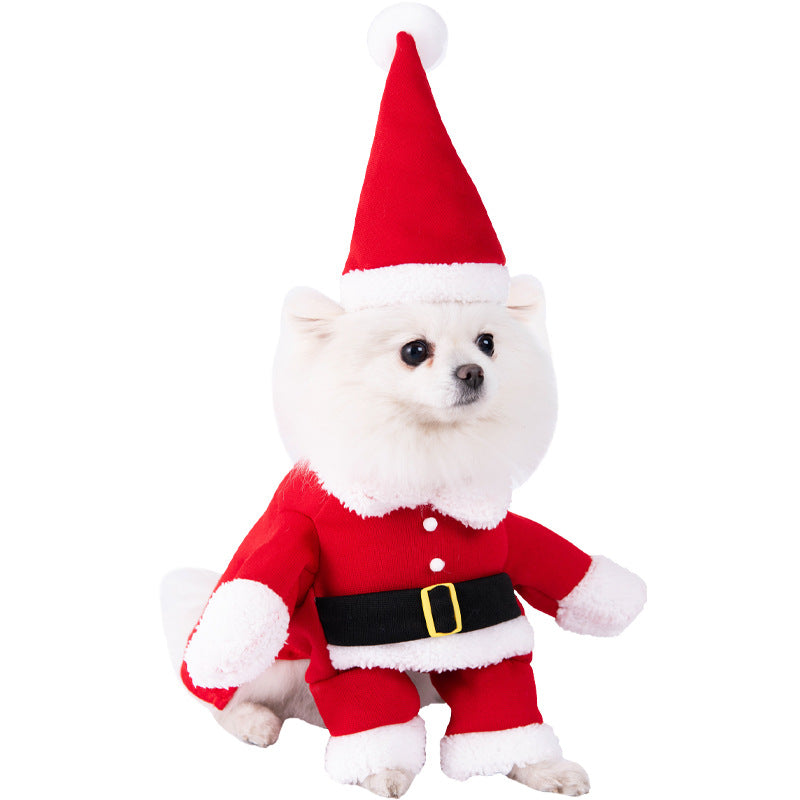 Small dog wearing a red Santa outfit with a hat on a white background