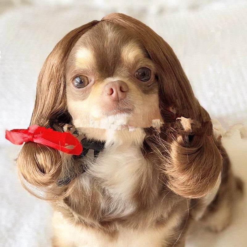 ZA-Zola Funny Pet Wig Afro & Pigtail Styles - ZA-Zola