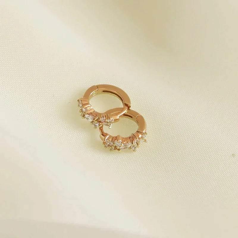 Sterling Silver Needle Irregular Zircon Earrings - ZA-Zola