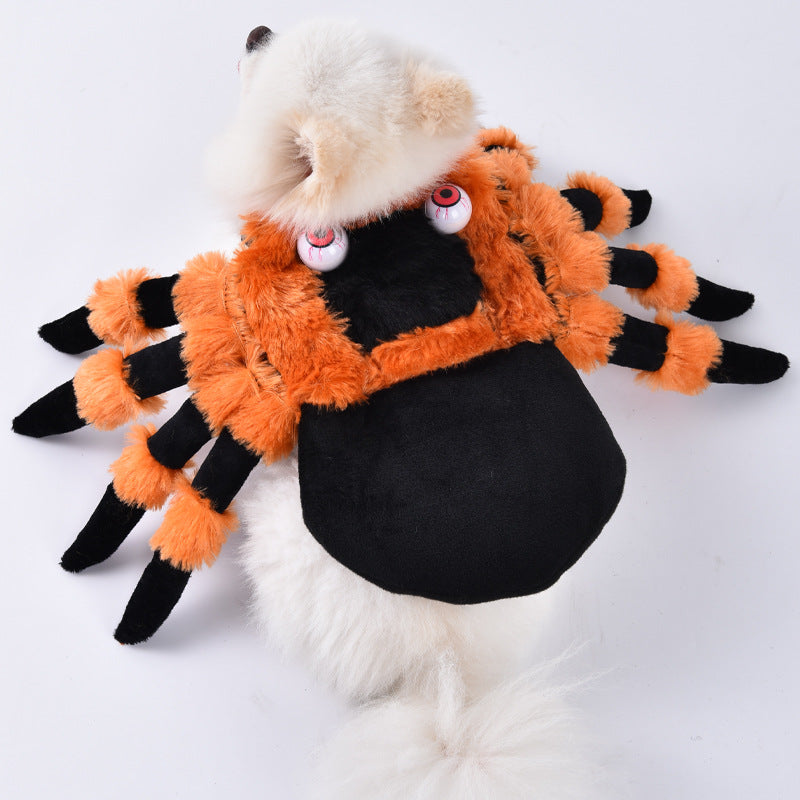 Cat wearing a spider costume with orange and black details on a white background