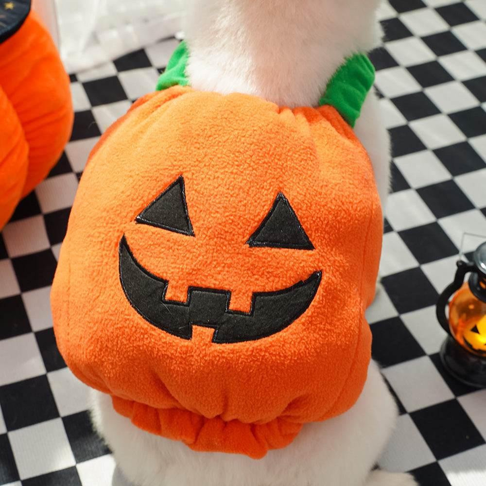 ZA-Zola Halloween Pumpkin Vest for Dogs & Cats - ZA-Zola