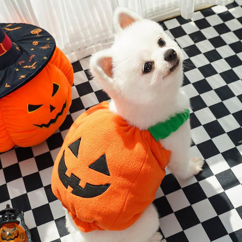ZA-Zola Halloween Pumpkin Vest for Dogs & Cats - ZA-Zola