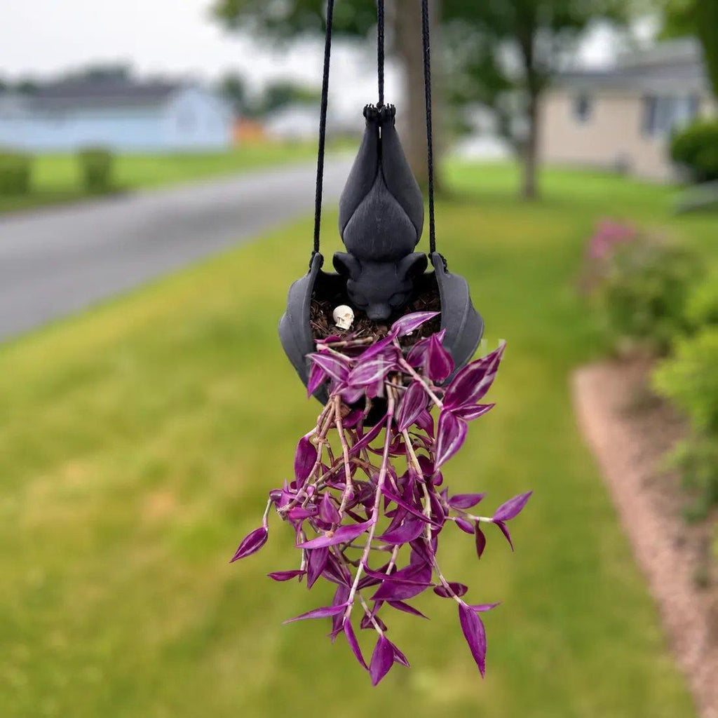 A hanging black ceramic planter with a trailing purple and white striped plant, suspended outdoors over a green lawn with a blurred residential background.