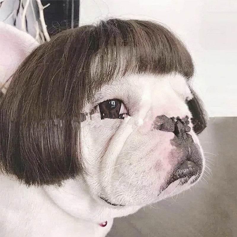 ZA-Zola Funny Pet Wig Afro & Pigtail Styles - ZA-Zola