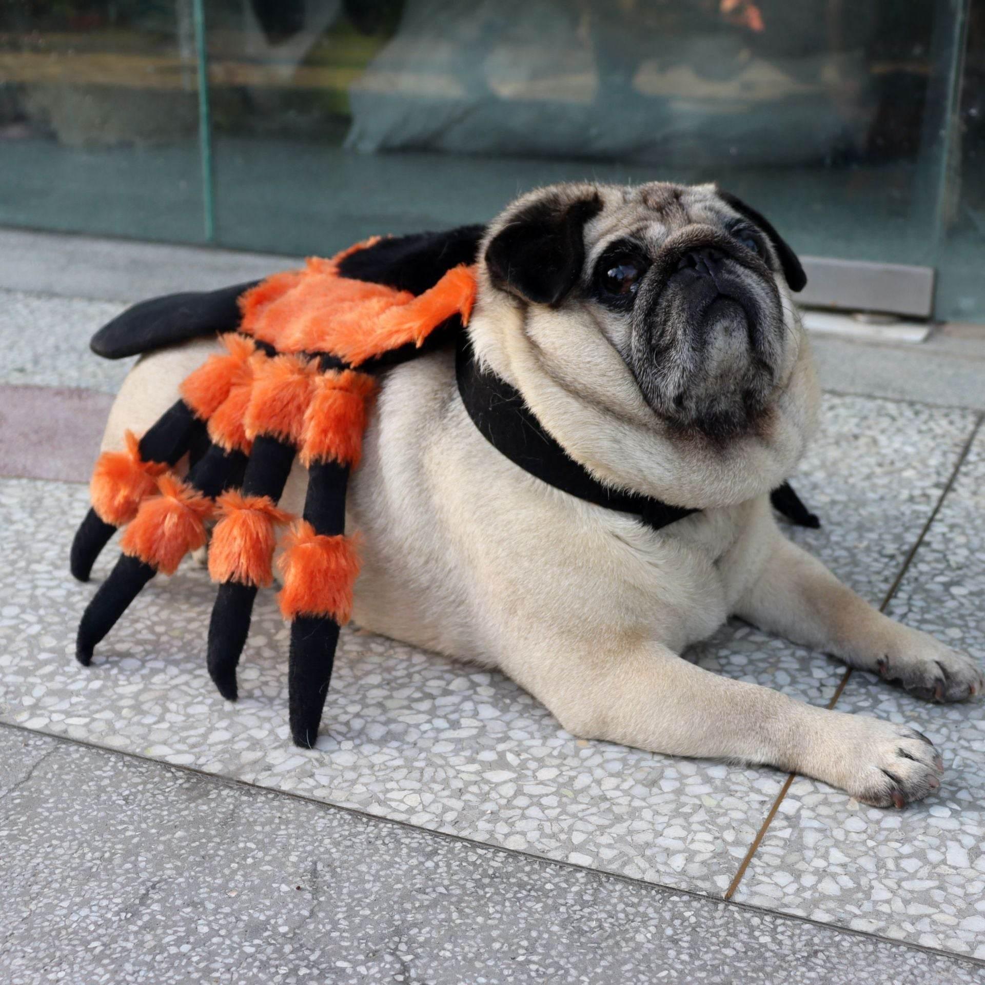 ZA-Zola Halloween Spider Pet Costume for Dogs & Cats - ZA-Zola