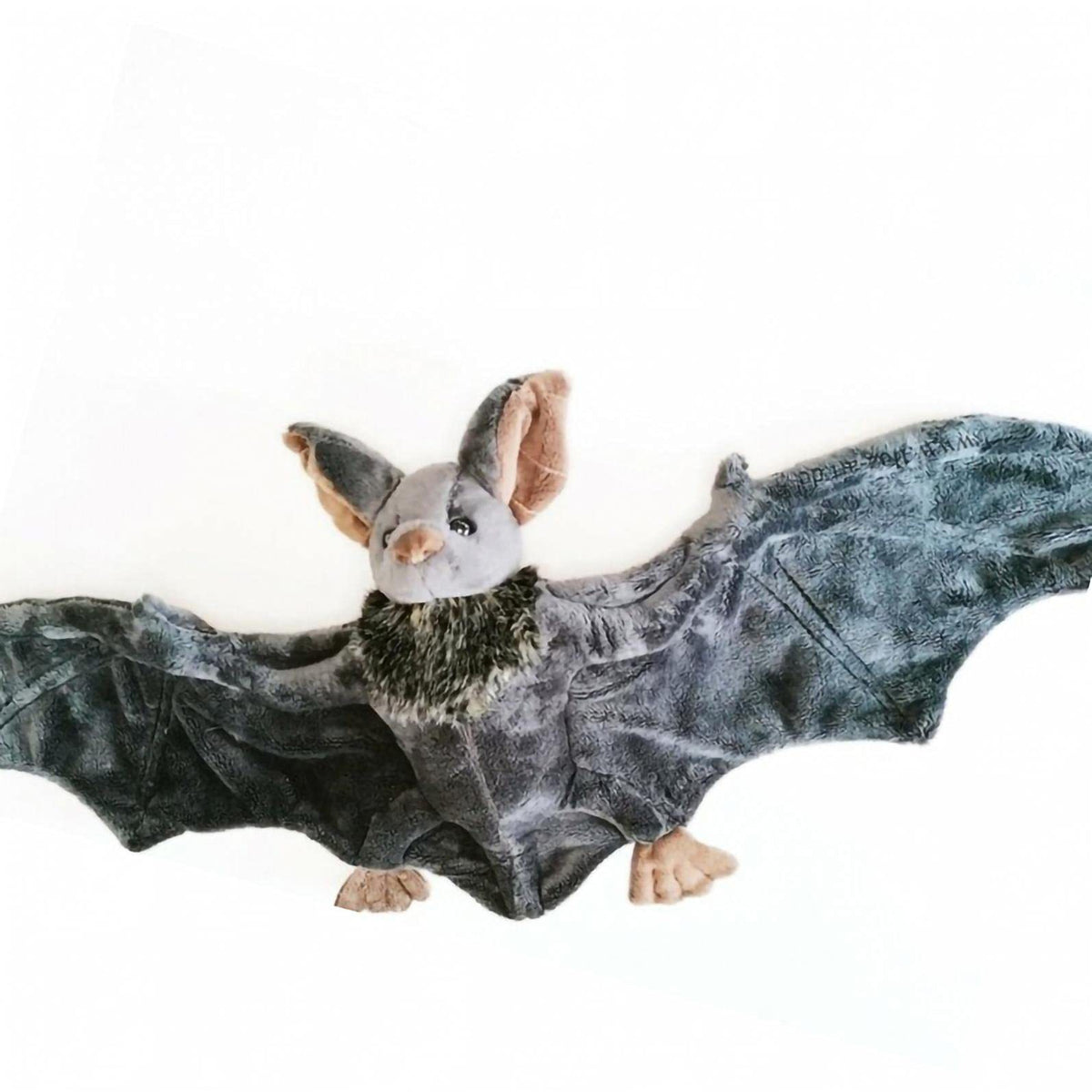 Plush toy bat on a white background