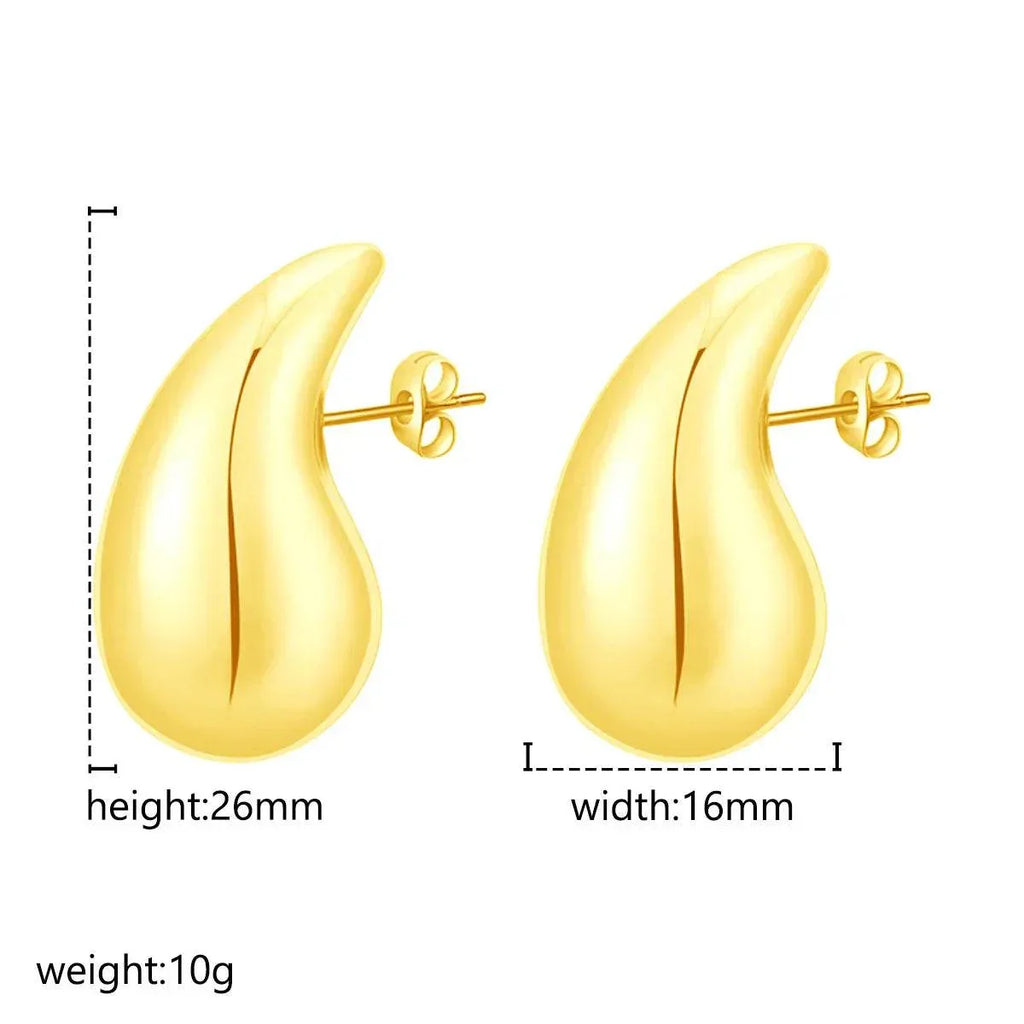 Chubby Water Drop Stainless Steel Earrings – Shop Now! - ZA-Zola