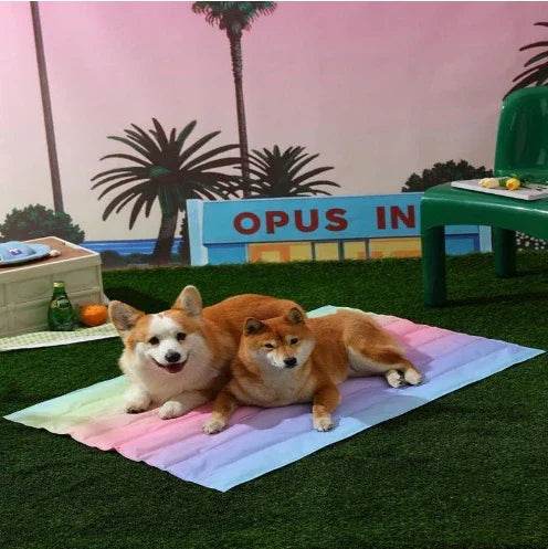 Waterproof Dog Ice Pad – Gel Cooling Mat - ZA-Zola