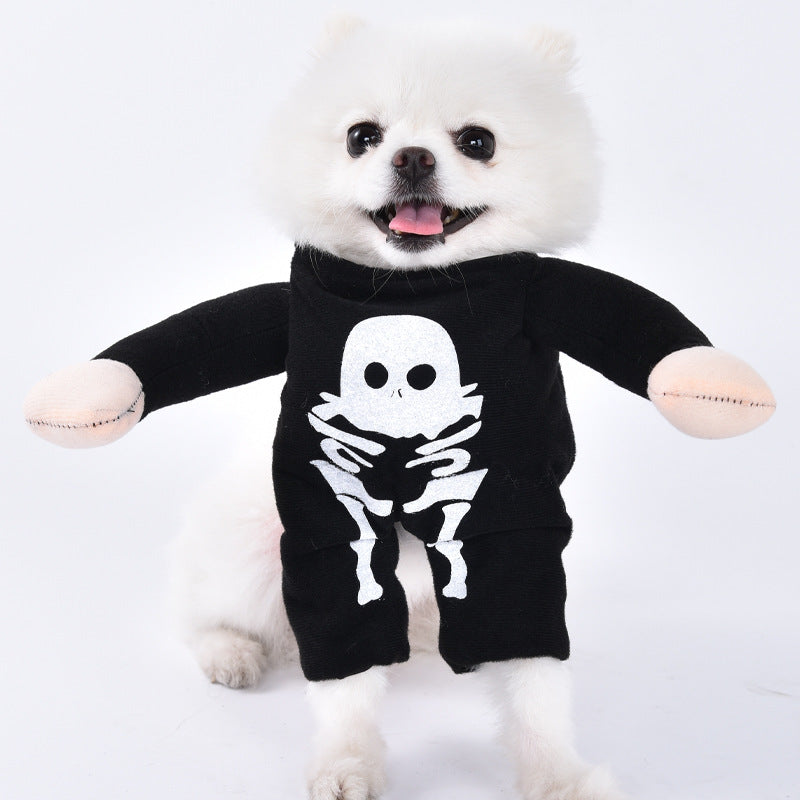 White dog wearing a black skeleton costume on a white background