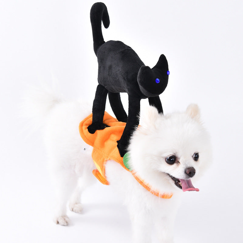 Dog wearing a Halloween-themed outfit with a black cat and orange cape on a white background