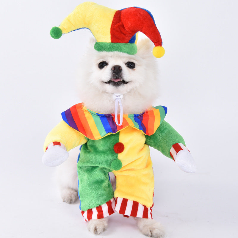 Dog wearing a colorful clown costume with a white background