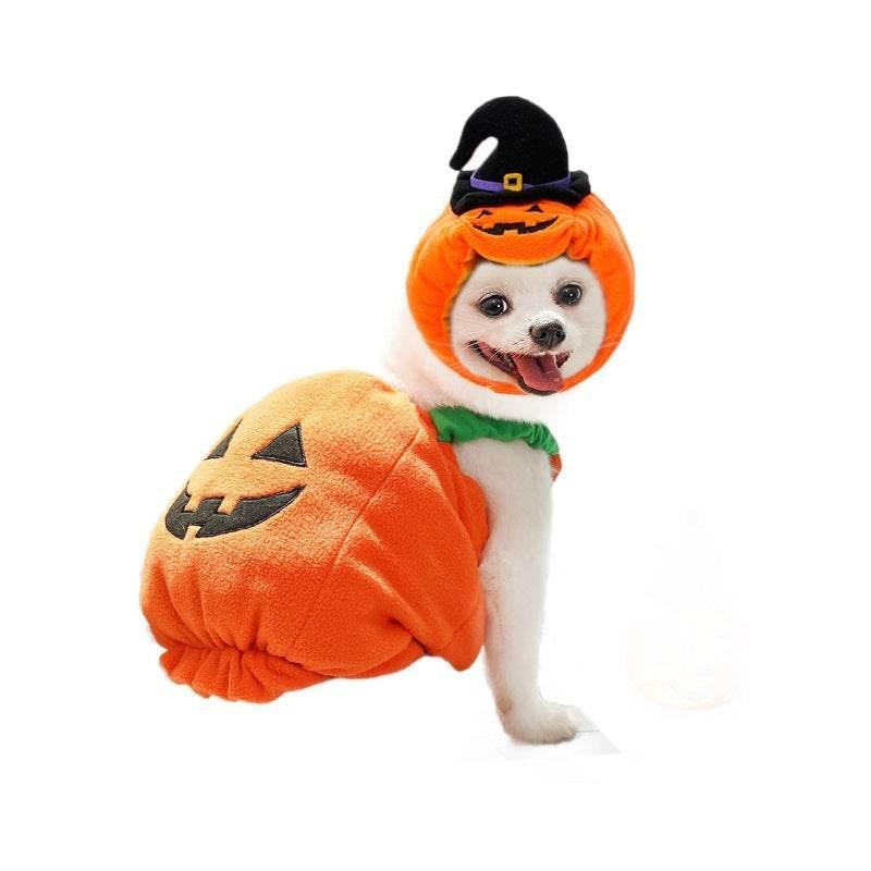 ZA-Zola Halloween Pumpkin Vest for Dogs & Cats - ZA-Zola