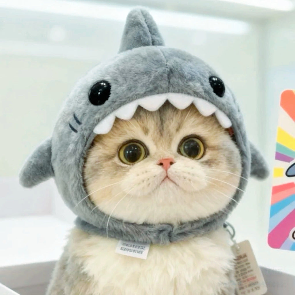 A fluffy cream-colored cat wearing a plush gray shark costume hood with white teeth and black eyes, photographed indoors against a bright blurred background.